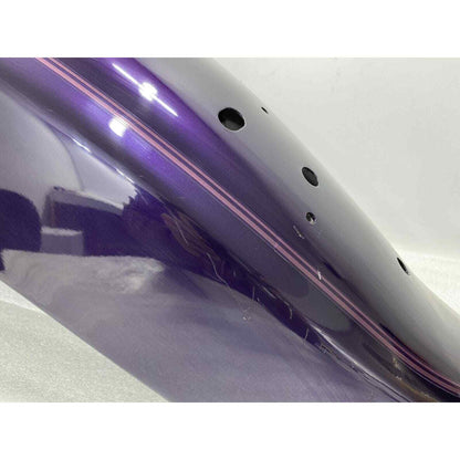 Yamaha V Star XVS 650 Rear Wheel Fender Purple With Purple Pinstripe Custom