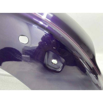 Yamaha V Star XVS 650 Rear Wheel Fender Purple With Purple Pinstripe Custom