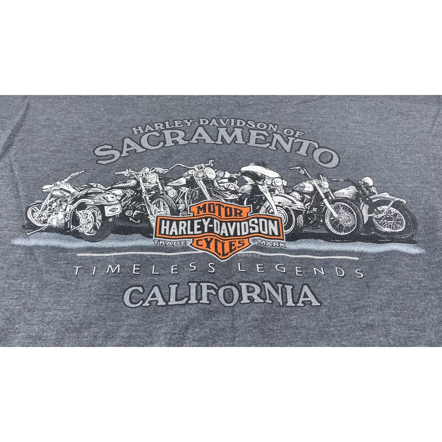 Harley Men’s Shirt Large Sacramento T-shirt Gray Classic Skeleton Army Go Fast